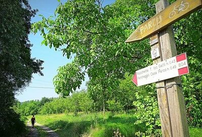 Dal Bricco di Belveglio al Parco di Rocchetta Tanaro in Ebike