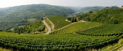 Tojo e le Terre dello Spumante
