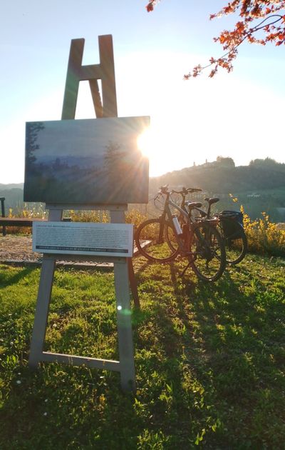 Esplora il Monferrato in E-Bike: Un Viaggio Tra Storia, Paesaggi e Sapori, da Terruggia a Rosignano