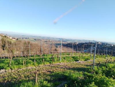 Tra Vigneti e Storia: Esplorando il Monferrato da Terruggia a Sala Monferrato, passando da Rosignano