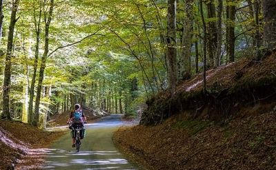 Alla scoperta delle ceramiche del Pollino in e-bike