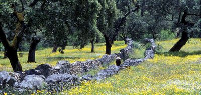 Da Aracena a Corteconcepcion