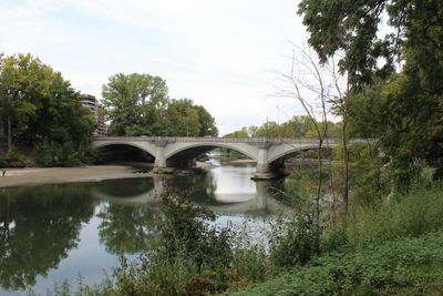  Turin - Green and Blue