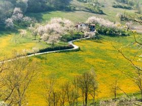 Immagine descrittiva per percorso