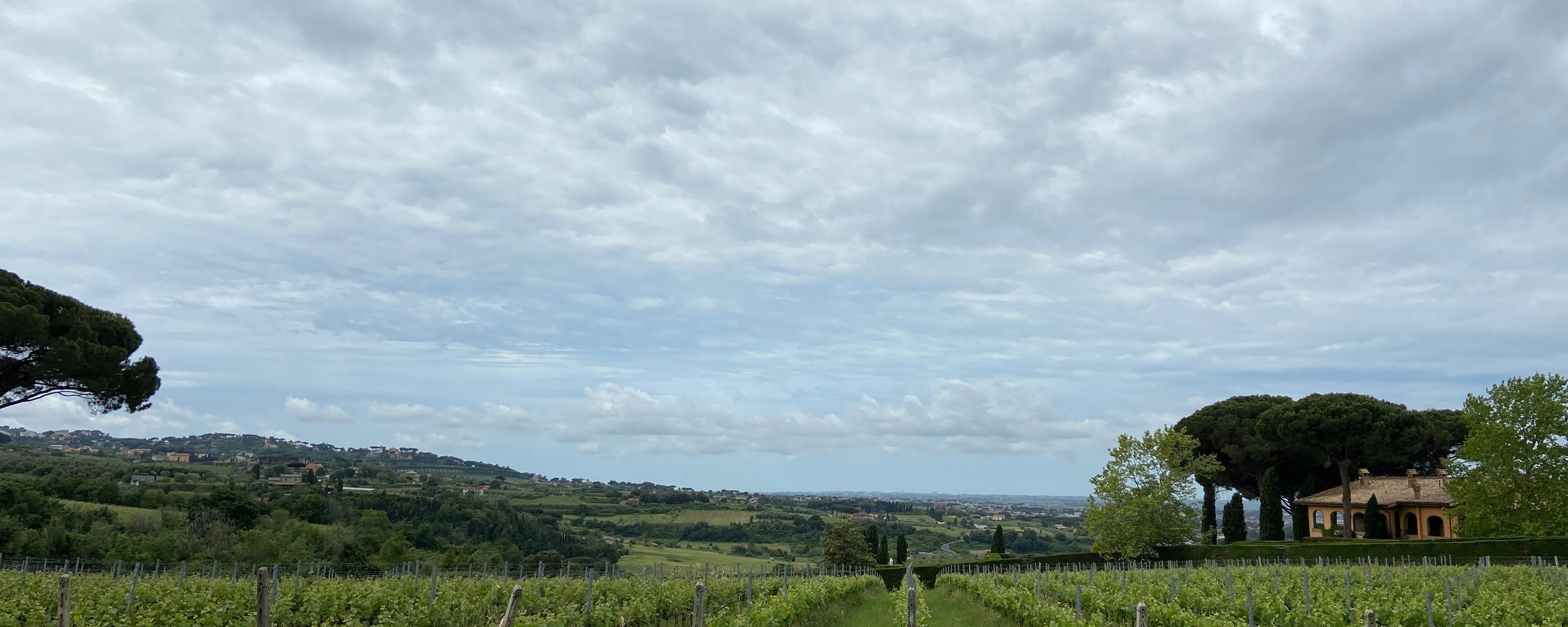 Hero Valle Marciana e i suoi vini 