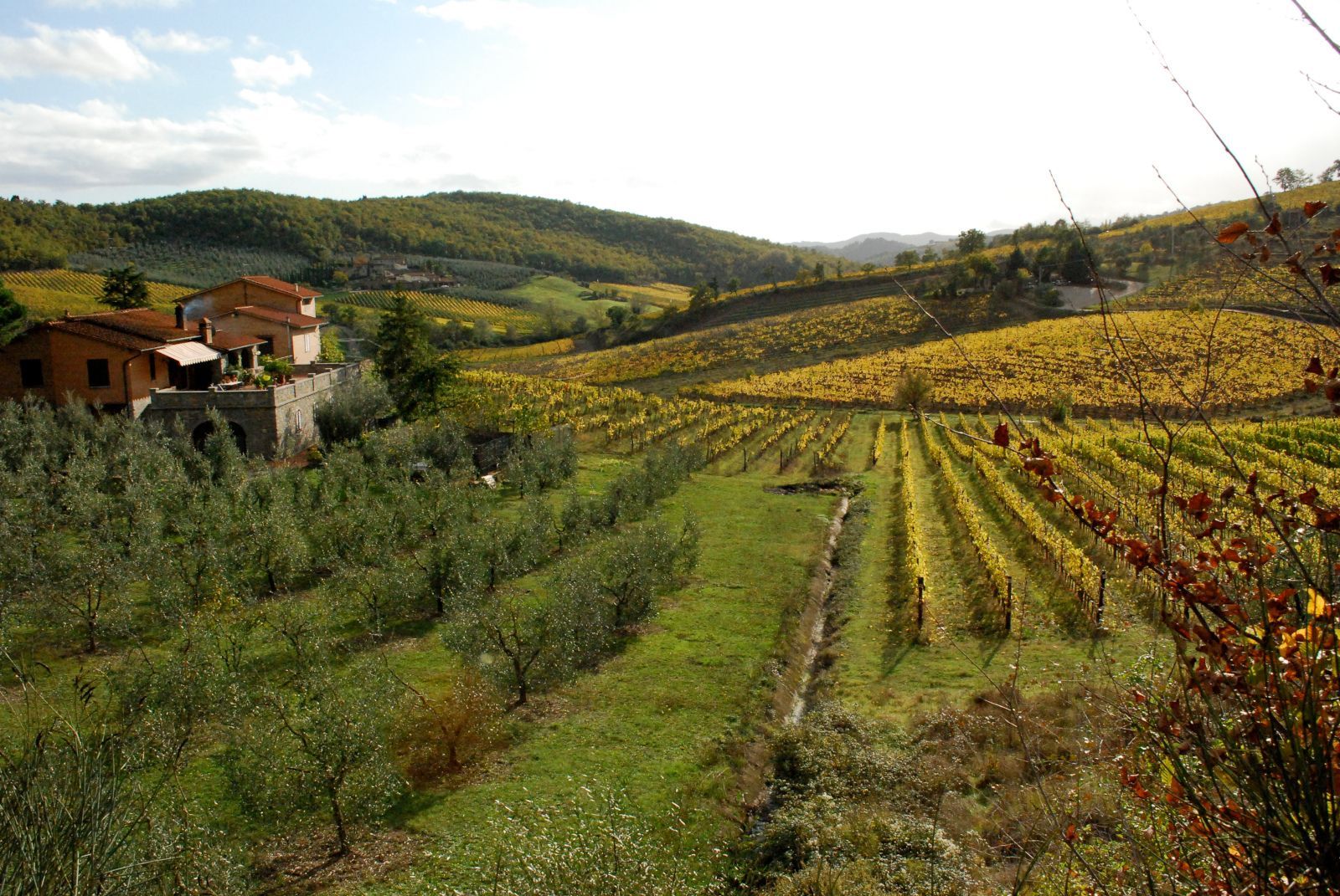 Hero Lucolena e Greve in Chianti