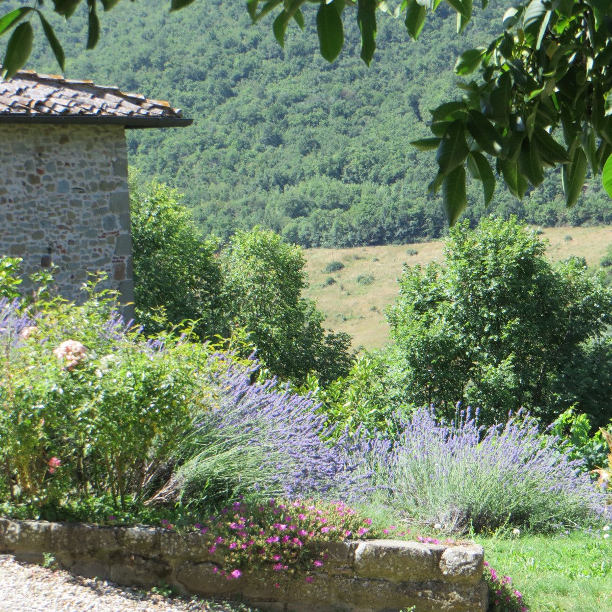 Hero Cintoia Castle and Mount Scalari