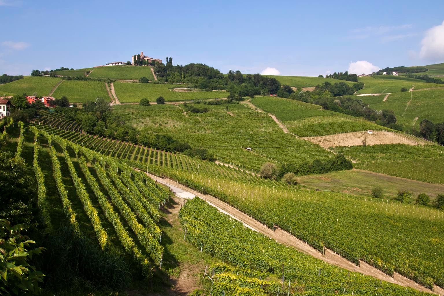 Hero Wine Tour: degustazione in e-bike