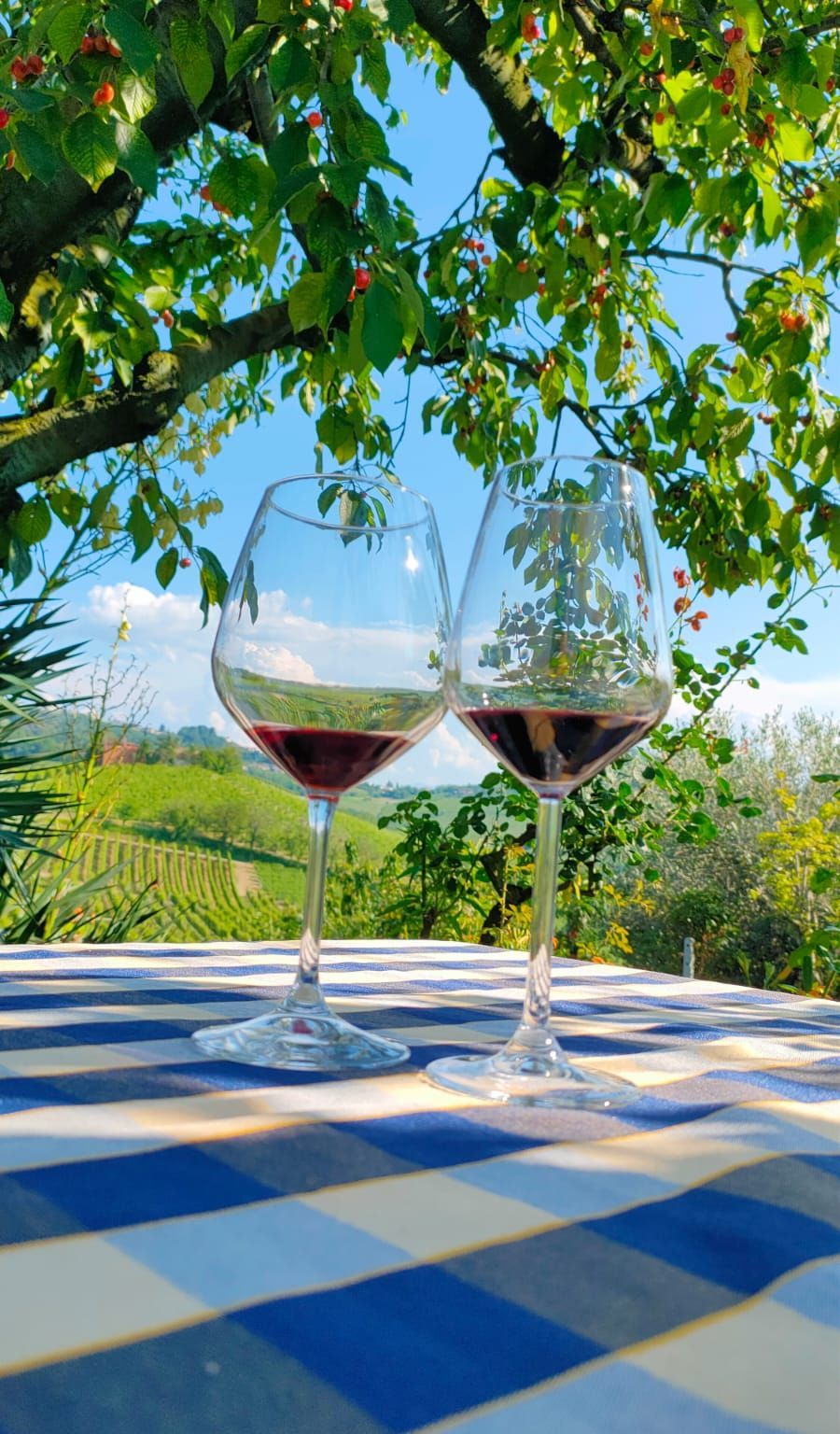 Hero Tour di una settimana in Langa, Barolo, Dogliani e Barbaresco