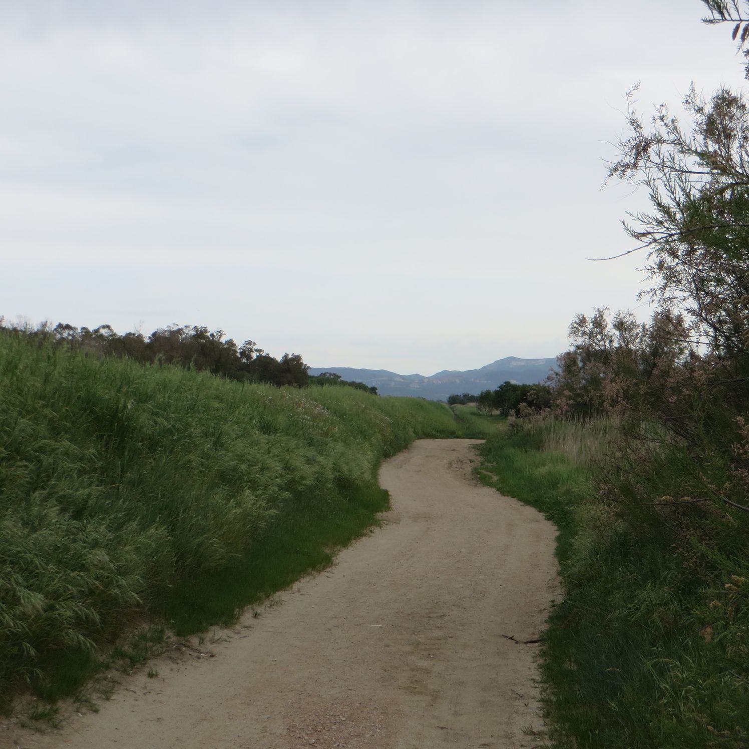 Hero Follonica and the Sterpaie Natural Park (WWF)