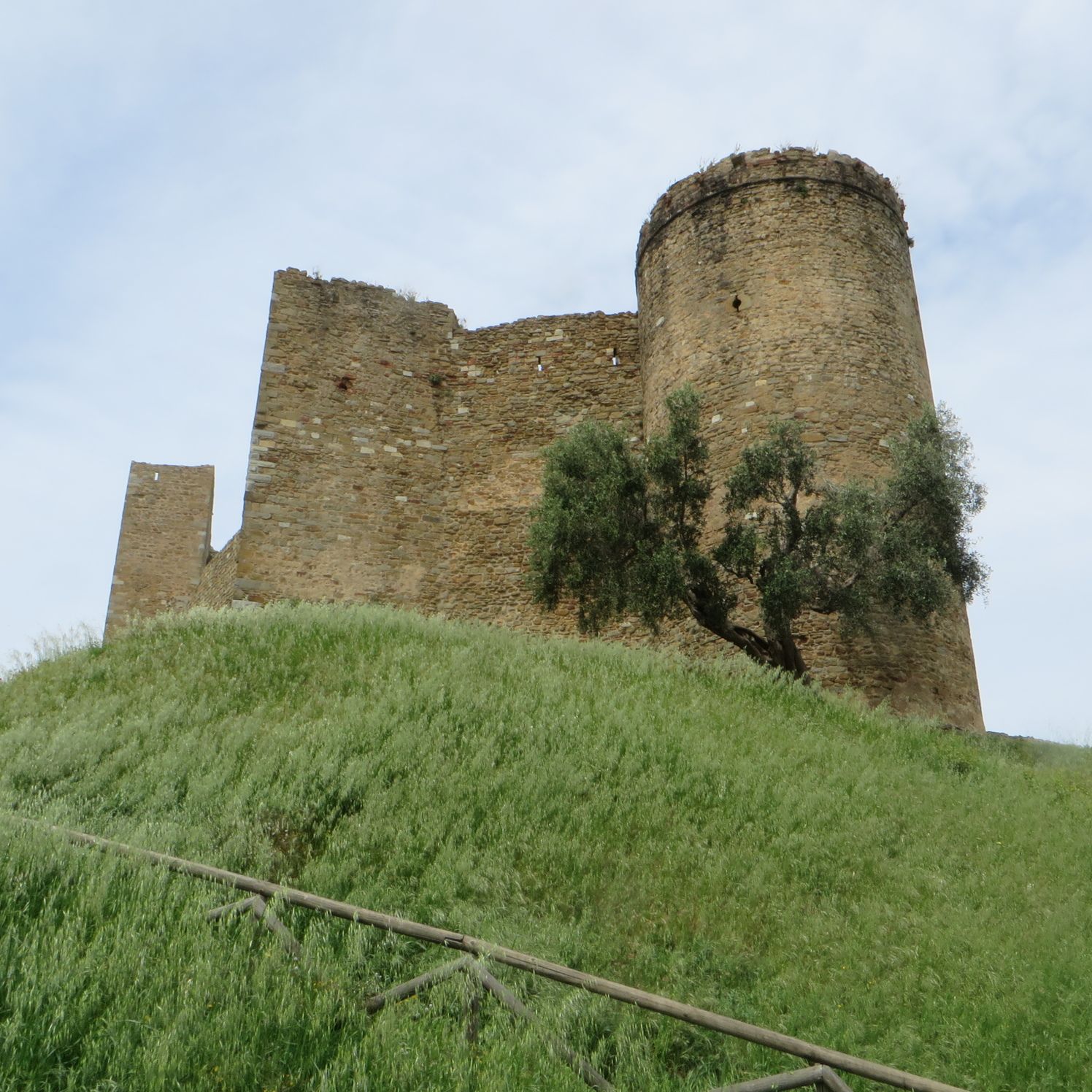 Hero La Rocca di Scarlino e l'anello nel bosco