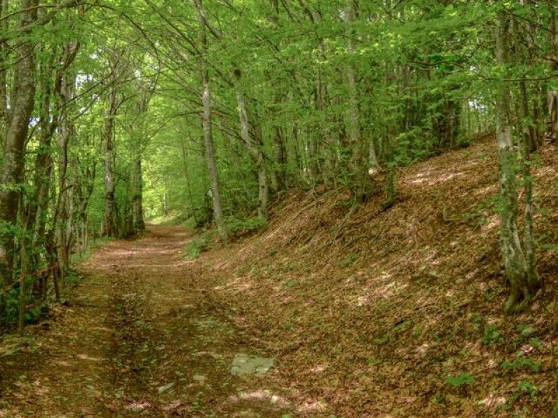 Hero Nel Parco dell'Alta Val Borbera