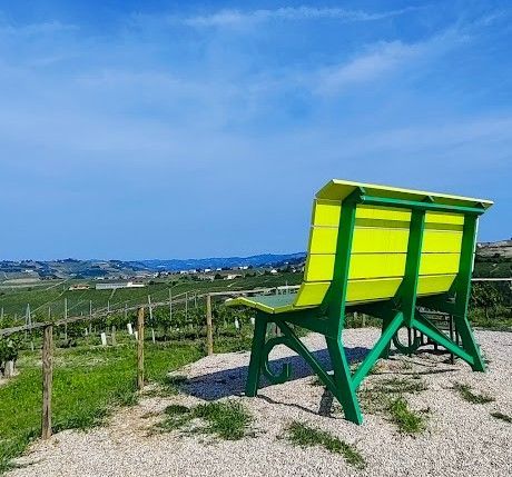 Hero Giant Yellow-Green (Castiglione Tinella)