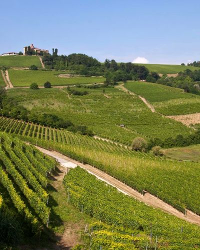 Wine Tour: degustazione in e-bike