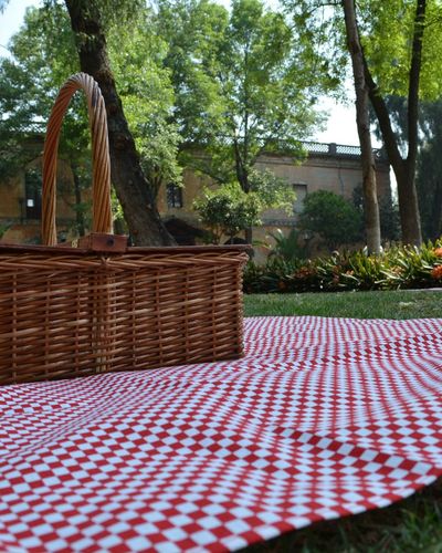 E-bike divertente e pic nic tra le vigne