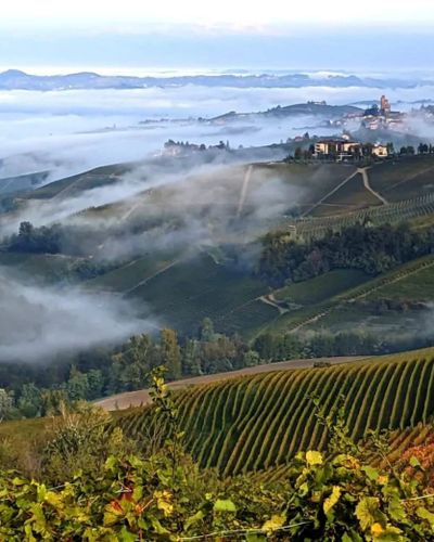 Wine tour: degustazione in e-bike in mezza giornata