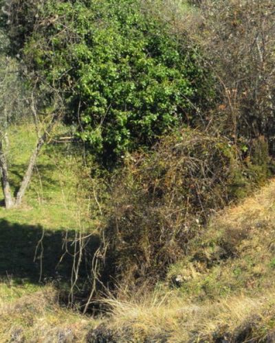 Pedala e Gusta tra i Parchi di Appennino e Alpi Apuane