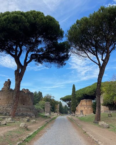Tour Guidato Appia Antica con degustazione