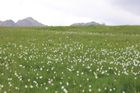 Prati di Logarghena (Filattiera)
