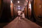 Cantina Bersano