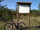Riserva naturale Bosco Selva