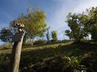 Parco della Rimembranza