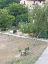 Immagine descrittiva per percorso