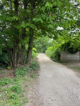 Immagine descrittiva per percorso