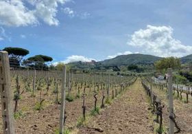 Immagine descrittiva per percorso