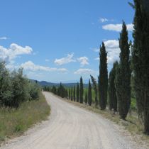 Immagine descrittiva per percorso