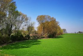 Immagine descrittiva per percorso