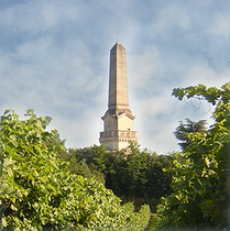 Immagine descrittiva per percorso
