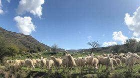 Immagine descrittiva per percorso
