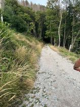 Immagine descrittiva per percorso