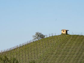 Immagine descrittiva per percorso