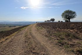 Immagine descrittiva per percorso