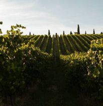Immagine descrittiva per percorso