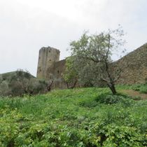 Immagine descrittiva per percorso