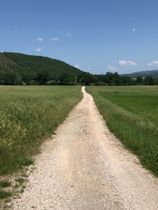 Immagine descrittiva per percorso