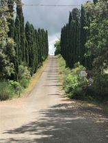 Immagine descrittiva per percorso