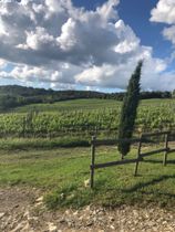 Immagine descrittiva per percorso