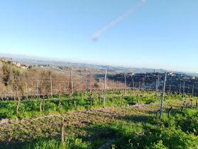 Immagine descrittiva per percorso