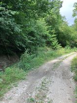 Immagine descrittiva per percorso