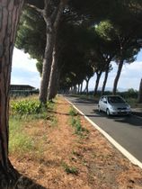 Immagine descrittiva per percorso