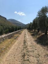 Immagine descrittiva per percorso