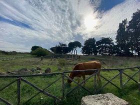 Immagine descrittiva per percorso
