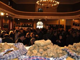 Immagine descrittiva per percorso