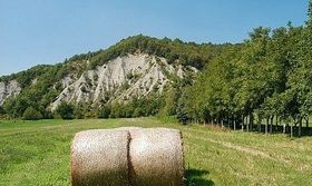 Immagine descrittiva per percorso