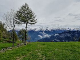 Immagine descrittiva per percorso