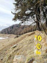 Immagine descrittiva per percorso